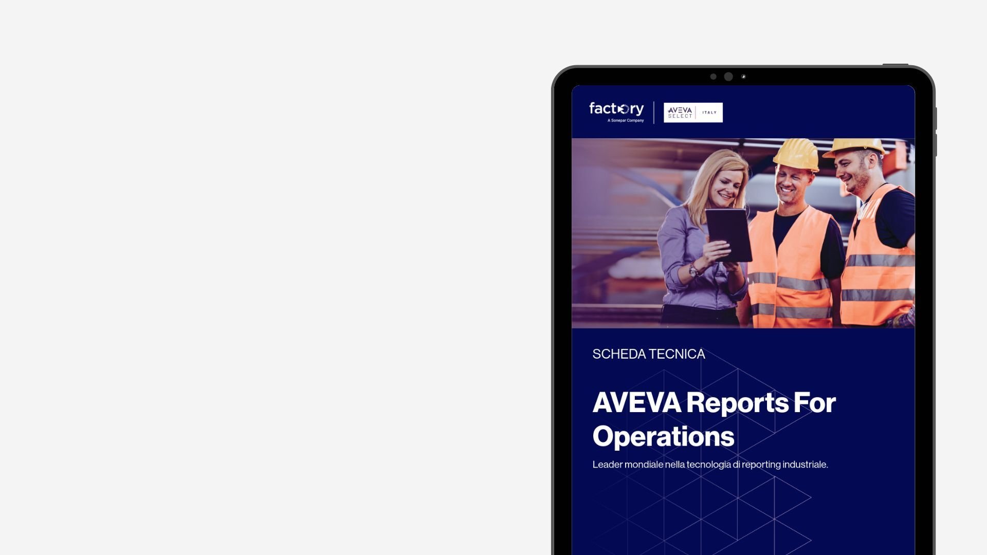 AVEVA Report for Operation